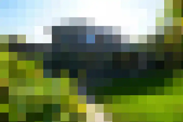 Vlaamse Gaai 2 Mierlo thumbnail 52