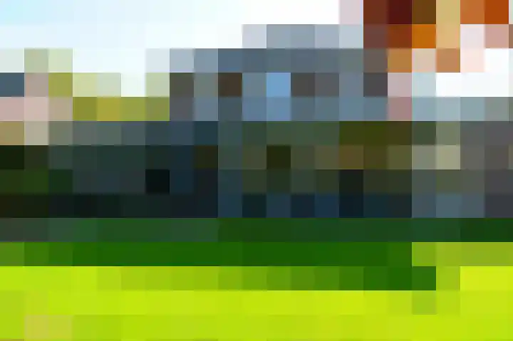 Vlaamse Gaai 2 Mierlo thumbnail 53