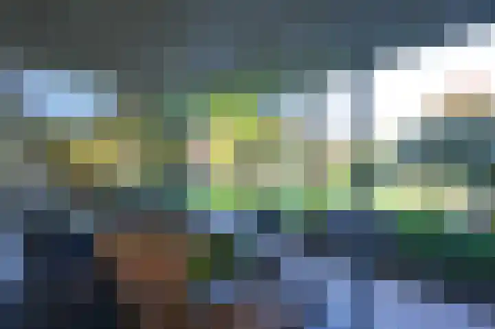 Vlaamse Gaai 2 Mierlo thumbnail 54