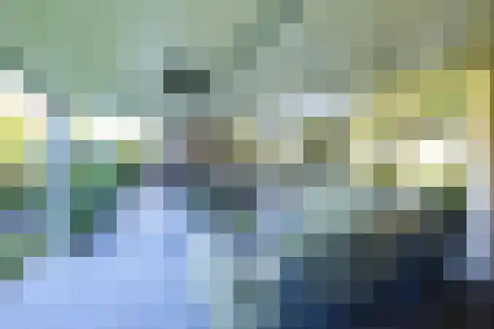 Vlaamse Gaai 2 Mierlo thumbnail 55