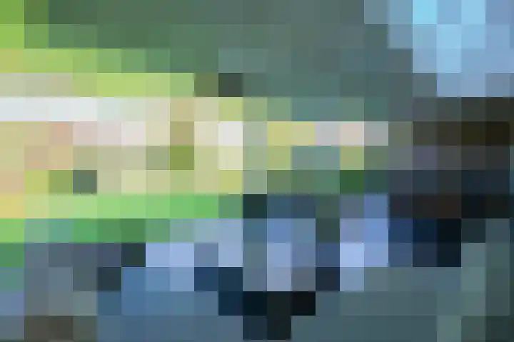 Vlaamse Gaai 2 Mierlo thumbnail 56