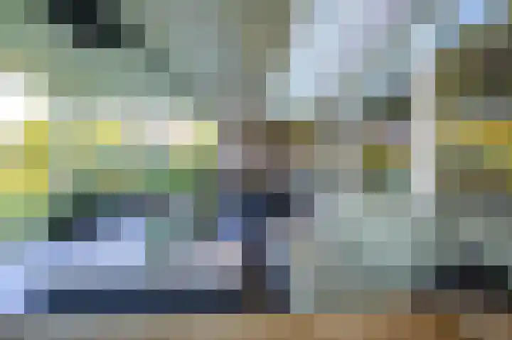 Vlaamse Gaai 2 Mierlo thumbnail 57