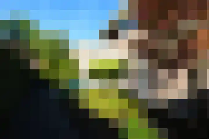 Vlaamse Gaai 2 Mierlo thumbnail 58