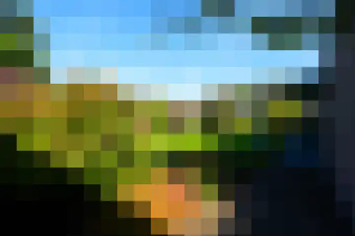Vlaamse Gaai 2 Mierlo thumbnail 59