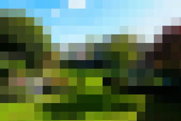 Vlaamse Gaai 2 Mierlo thumbnail 6
