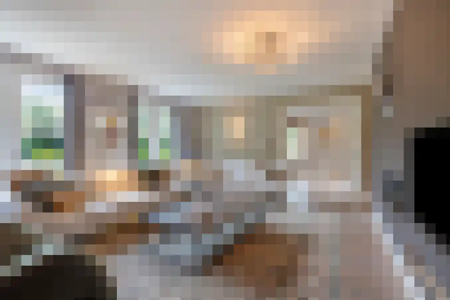 Vlaamse Gaai 3 Mierlo thumbnail 11
