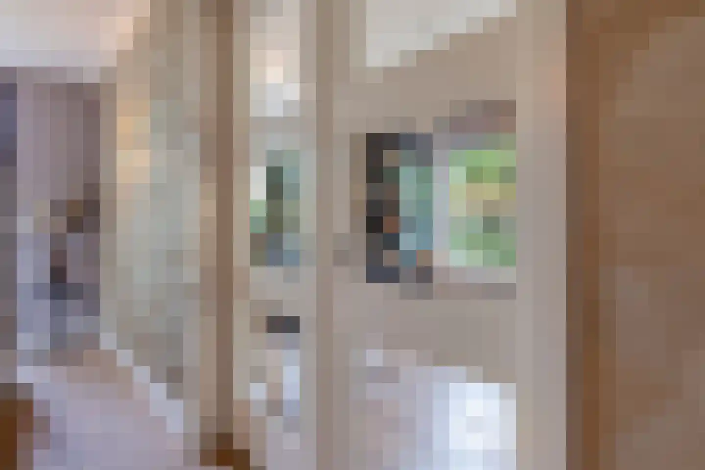 Vlaamse Gaai 3 Mierlo thumbnail 14