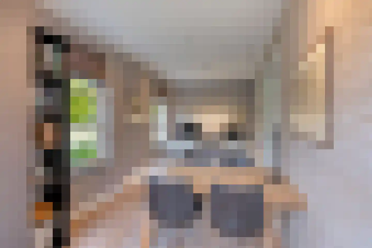Vlaamse Gaai 3 Mierlo thumbnail 16