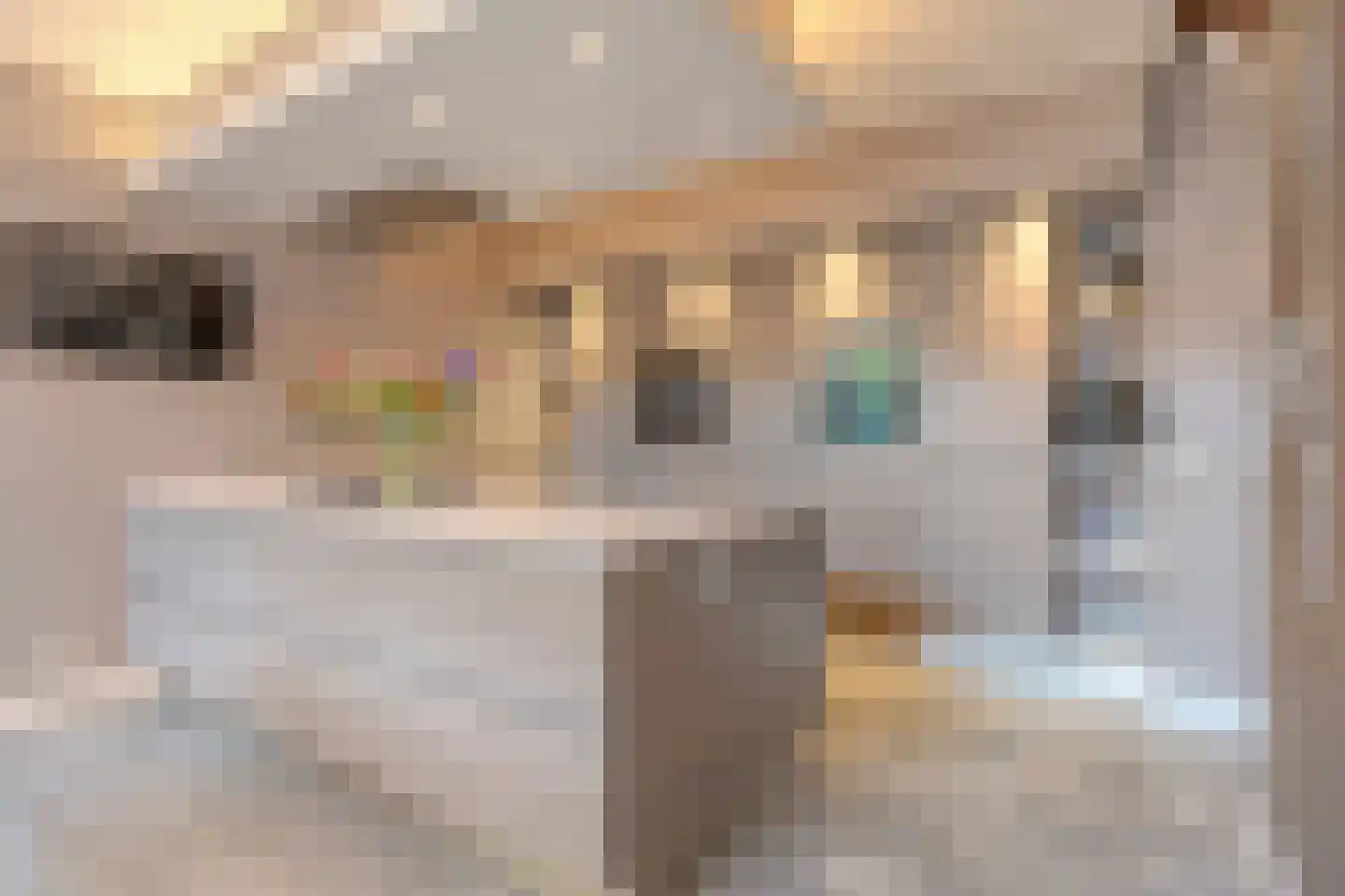 Vlaamse Gaai 3 Mierlo thumbnail 19