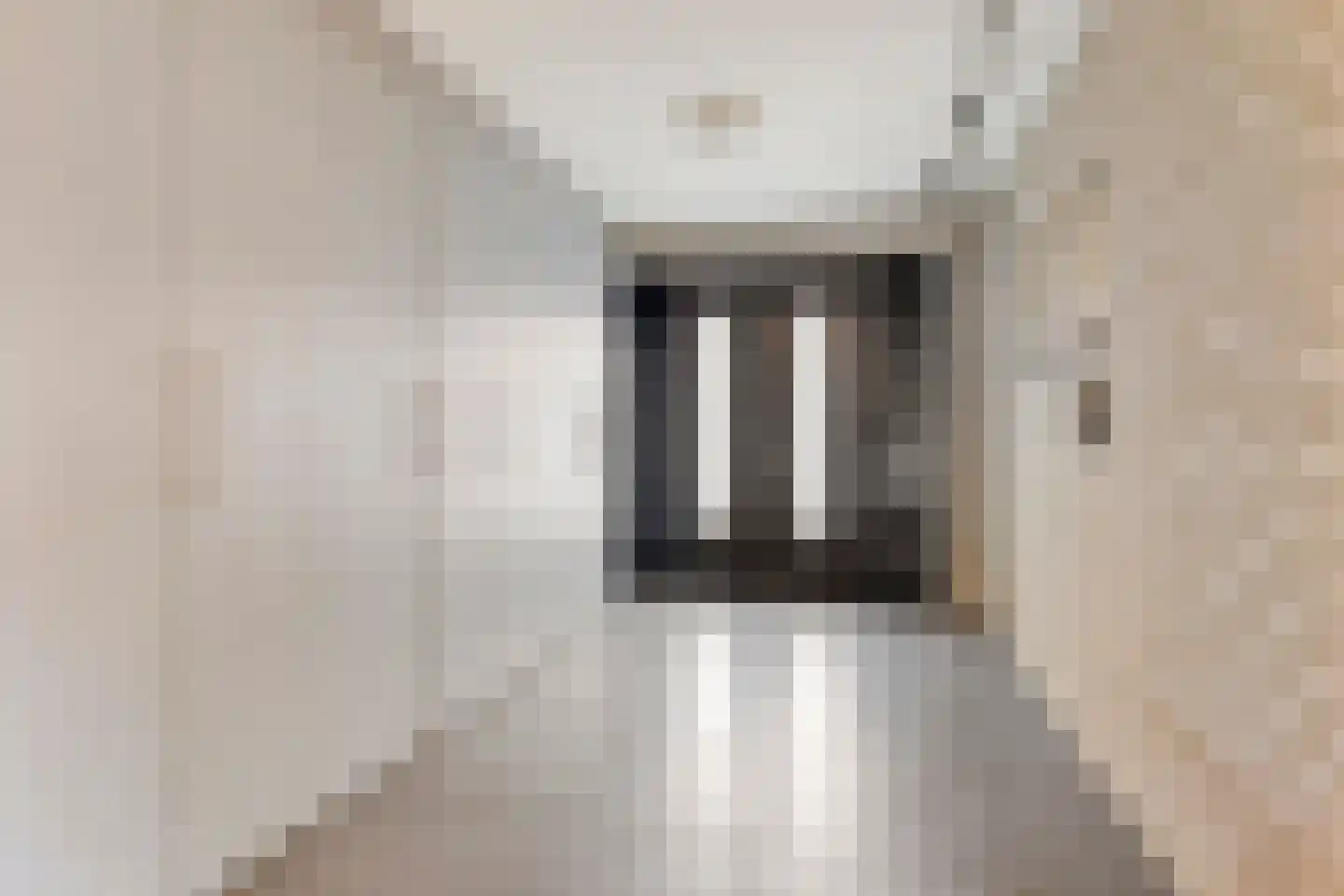 Vlaamse Gaai 3 Mierlo thumbnail 20