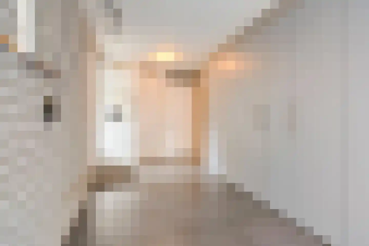 Vlaamse Gaai 3 Mierlo thumbnail 21