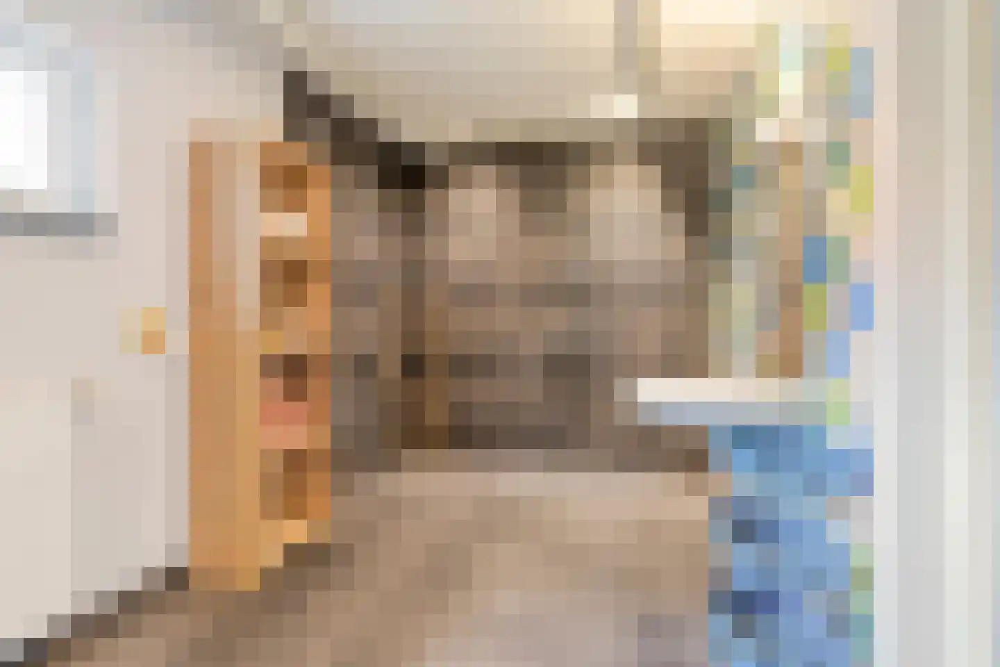 Vlaamse Gaai 3 Mierlo thumbnail 29