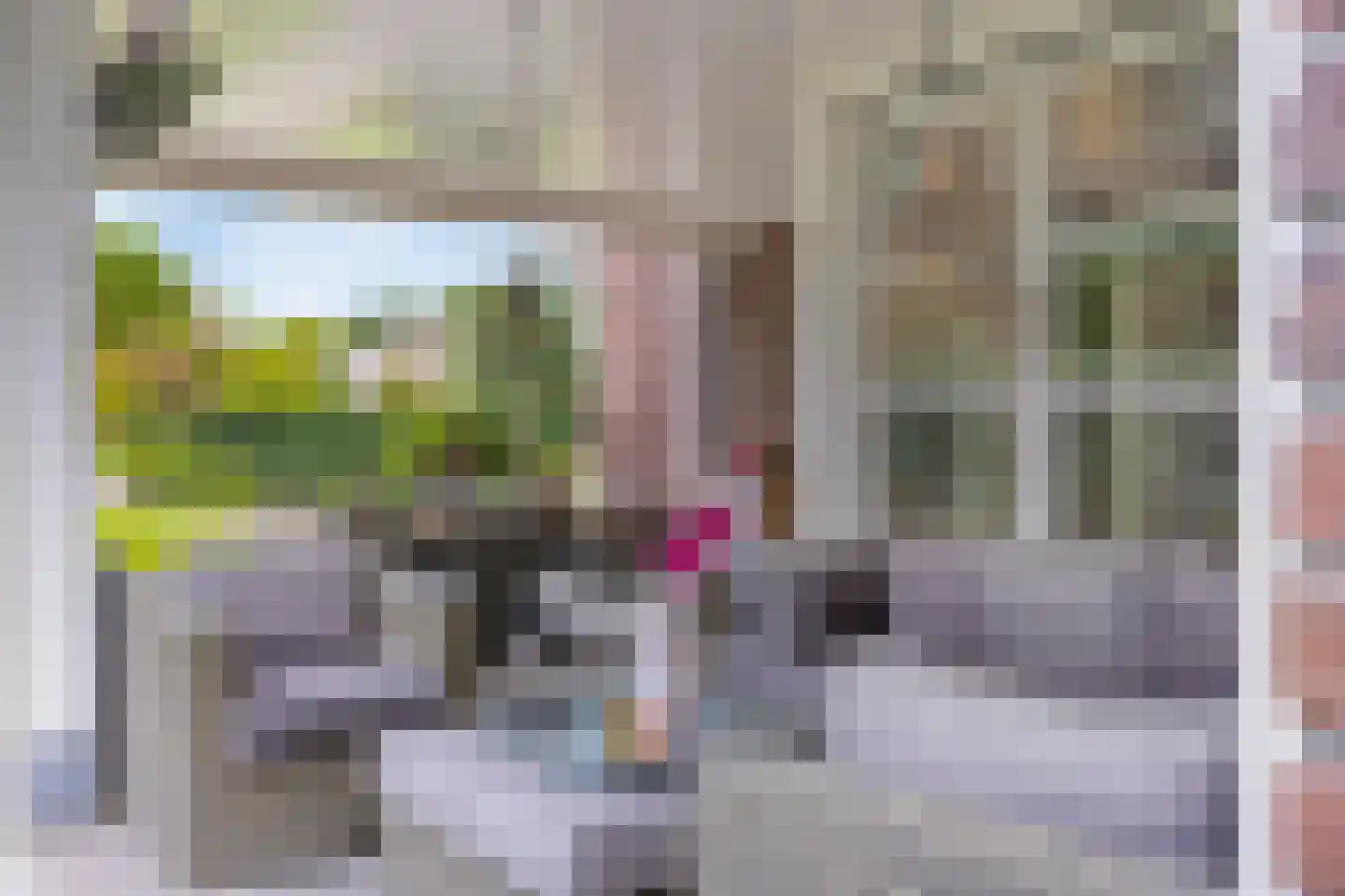 Vlaamse Gaai 3 Mierlo thumbnail 32