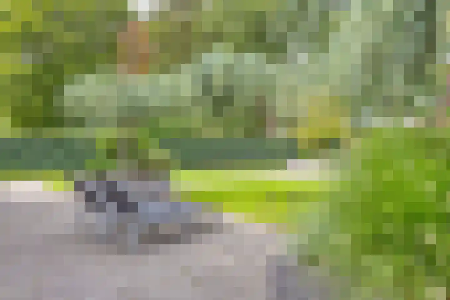 Vlaamse Gaai 3 Mierlo thumbnail 34