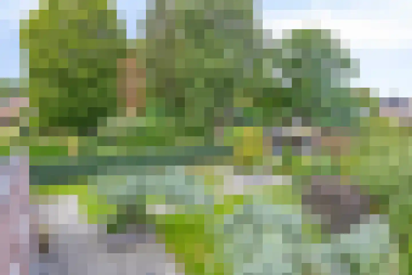 Vlaamse Gaai 3 Mierlo thumbnail 35