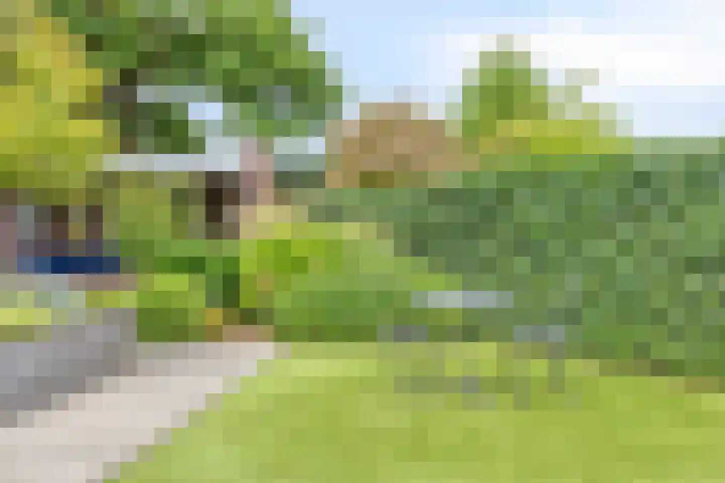 Vlaamse Gaai 3 Mierlo thumbnail 37