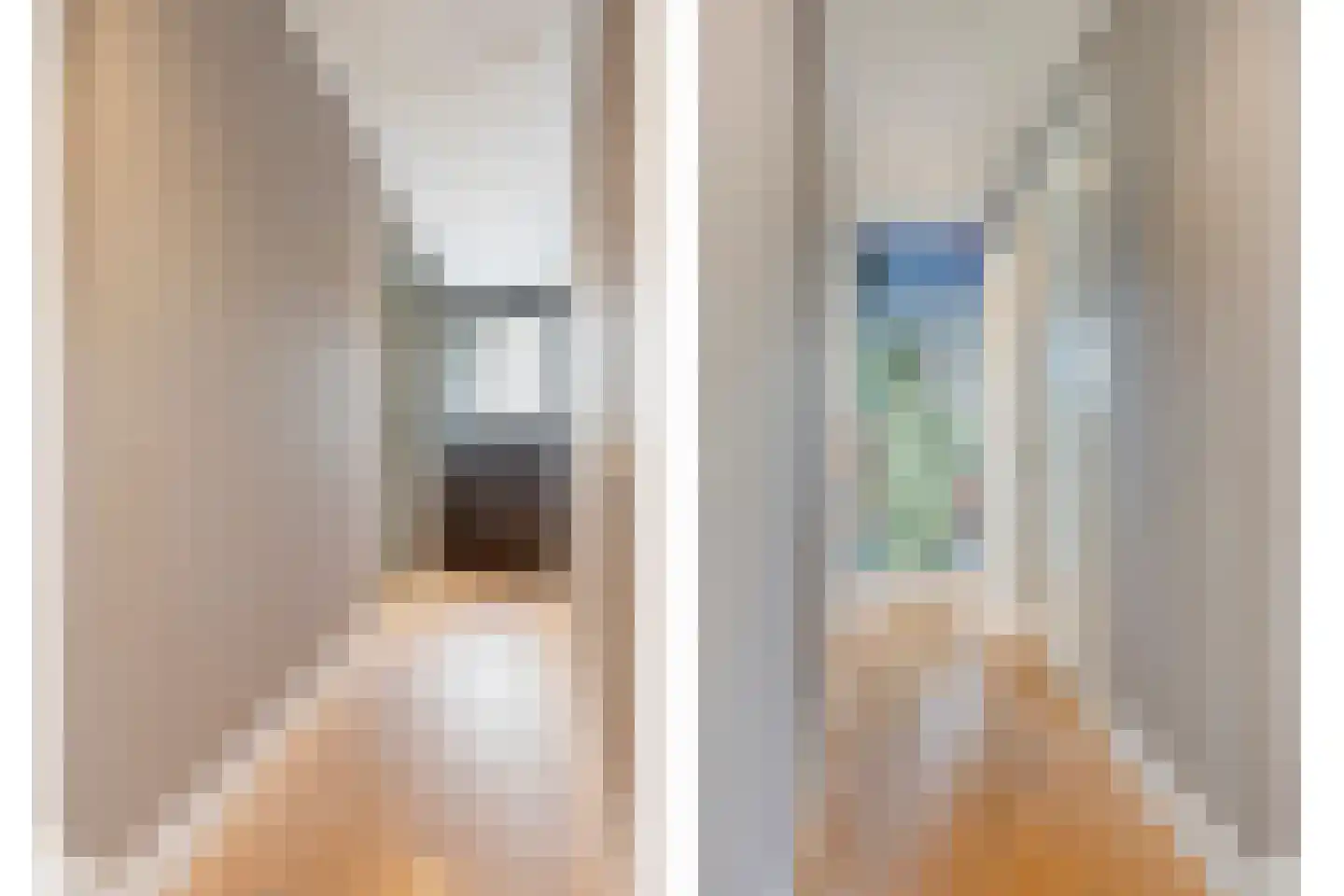 Vlaamse Gaai 3 Mierlo thumbnail 40