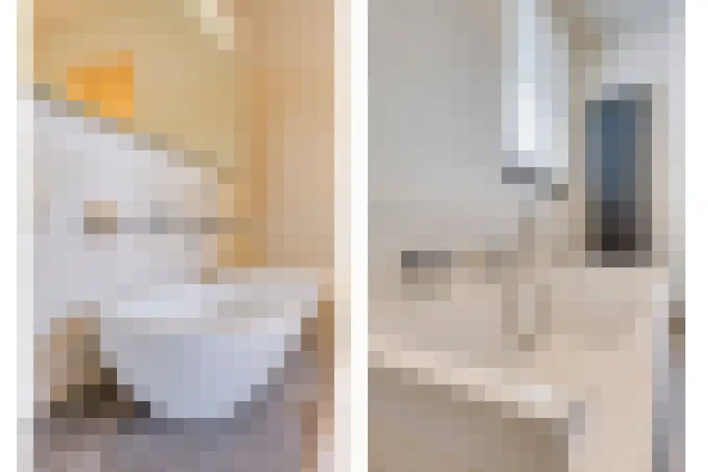 Vlaamse Gaai 3 Mierlo thumbnail 43
