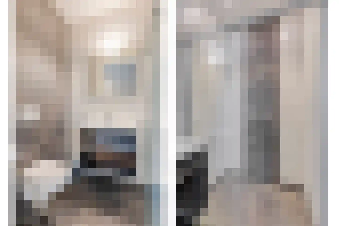 Vlaamse Gaai 3 Mierlo thumbnail 44
