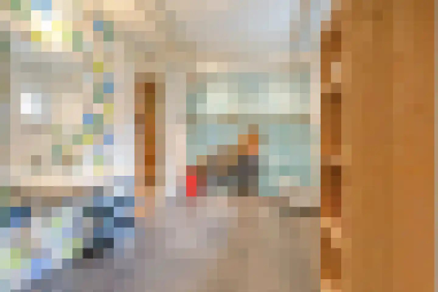 Vlaamse Gaai 3 Mierlo thumbnail 49