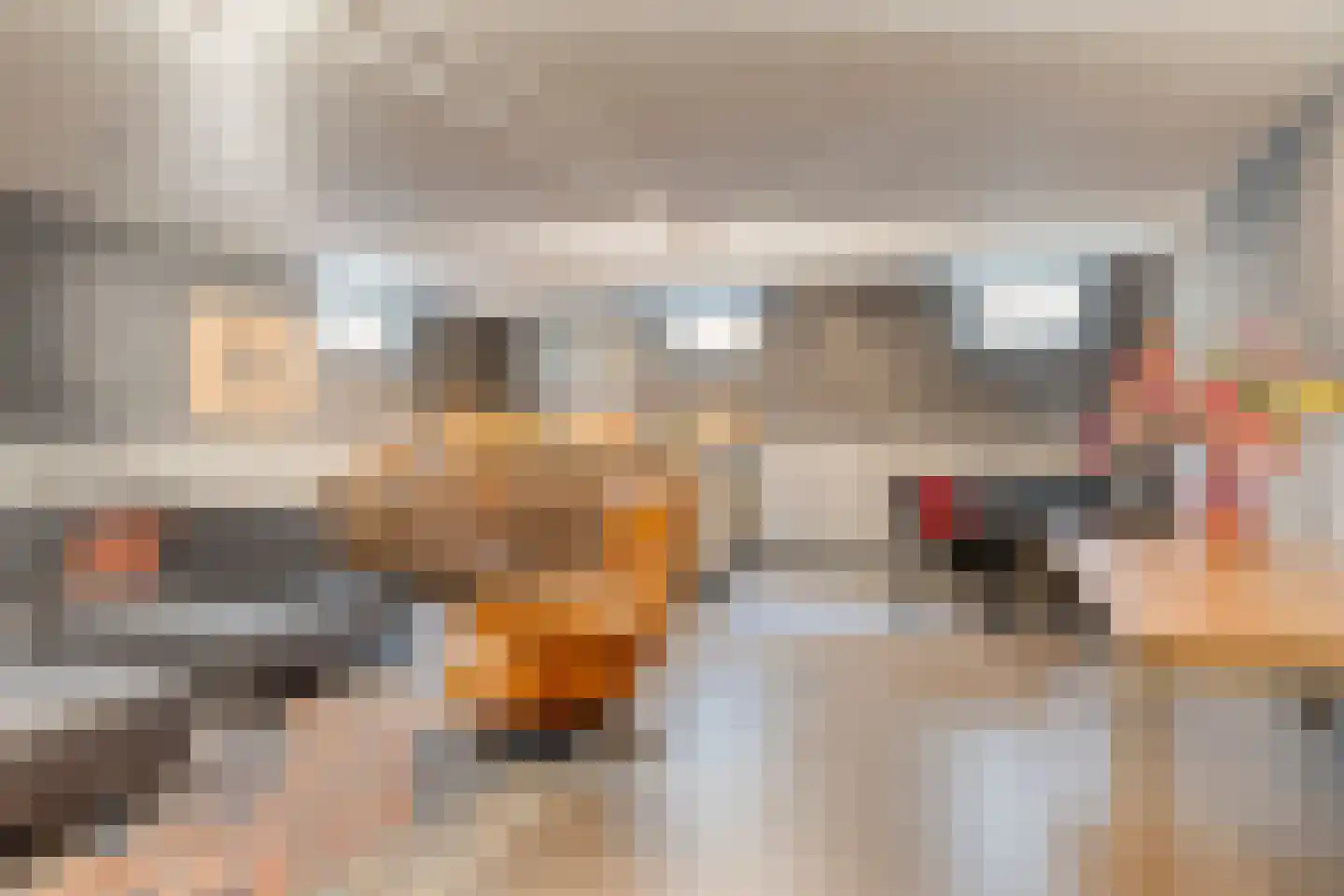 Vlaamse Gaai 3 Mierlo thumbnail 53