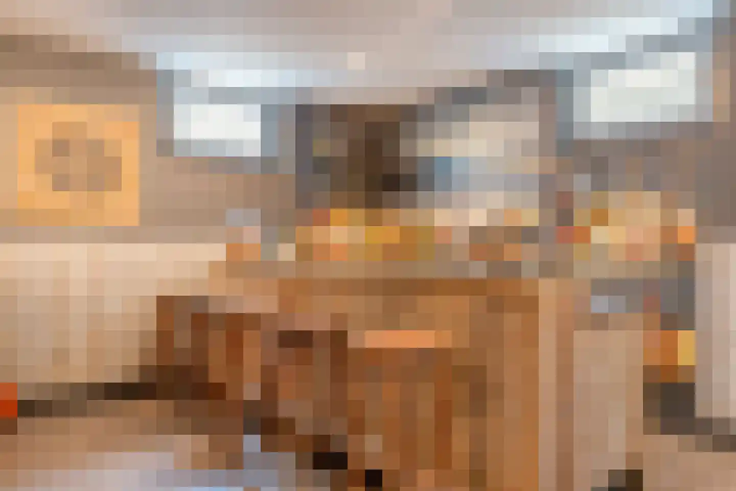 Vlaamse Gaai 3 Mierlo thumbnail 55
