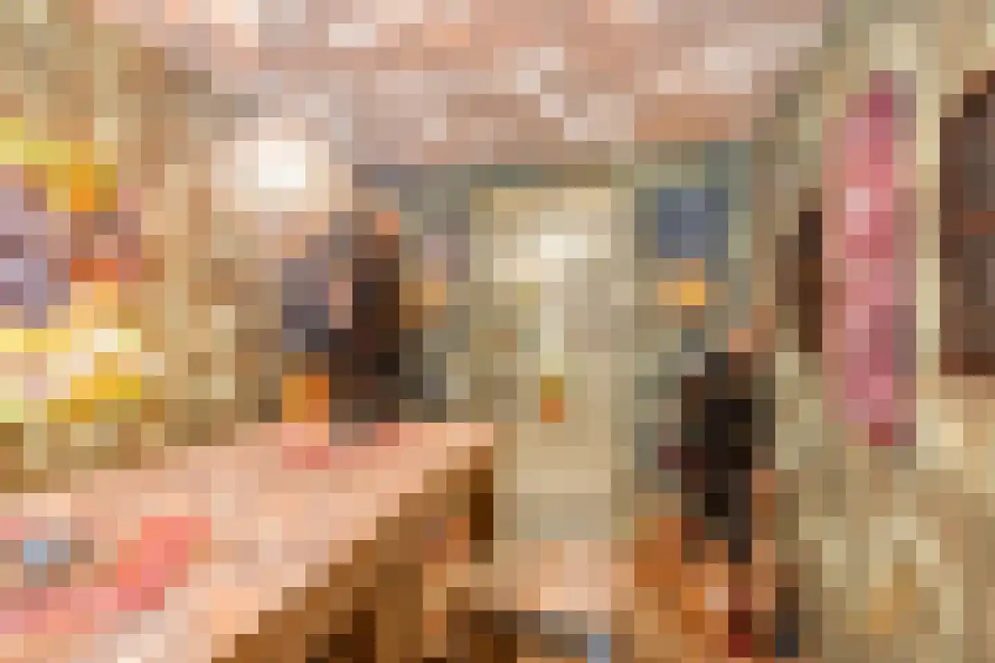 Vlaamse Gaai 3 Mierlo thumbnail 58