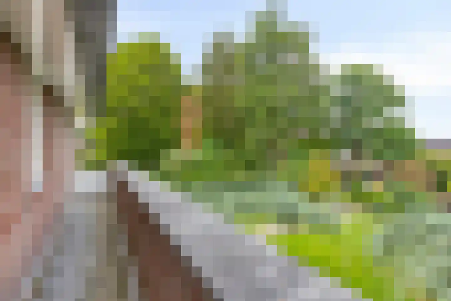 Vlaamse Gaai 3 Mierlo thumbnail 64