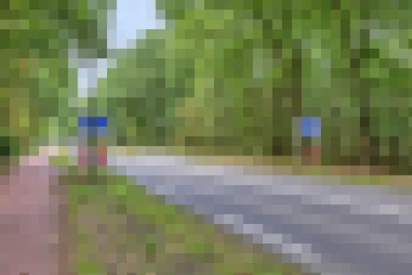 Vlaamse Gaai 3 Mierlo thumbnail 71