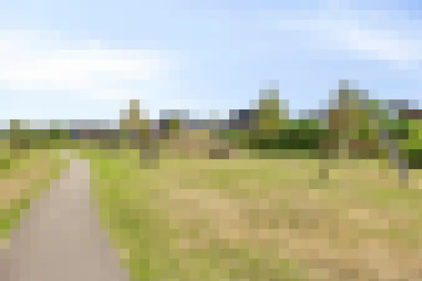 Vlaamse Gaai 3 Mierlo thumbnail 73