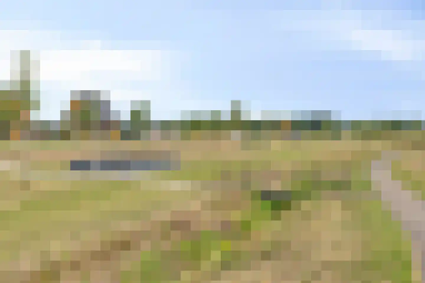 Vlaamse Gaai 3 Mierlo thumbnail 75
