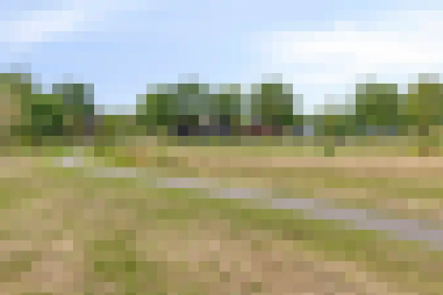 Vlaamse Gaai 3 Mierlo thumbnail 76