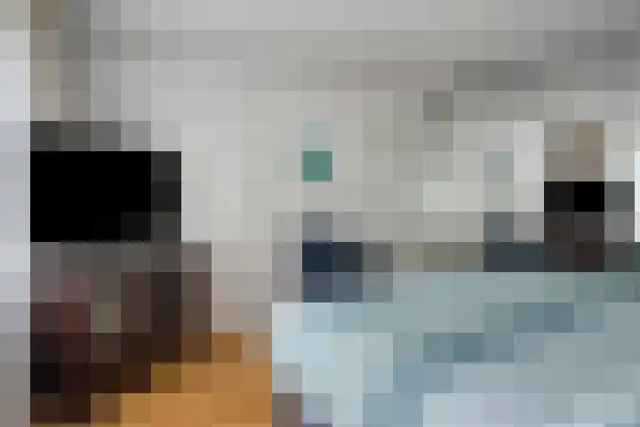 Vlaamse Gaai 3 Oostkapelle thumbnail 10