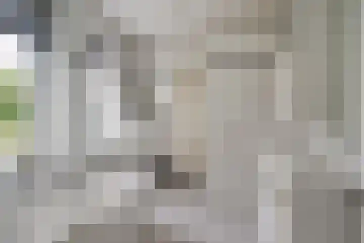 Vlaamse Gaai 3 Oostkapelle thumbnail 11
