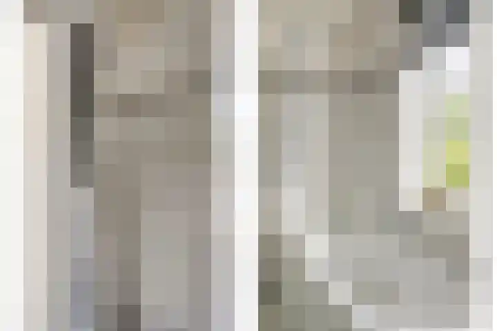 Vlaamse Gaai 3 Oostkapelle thumbnail 12