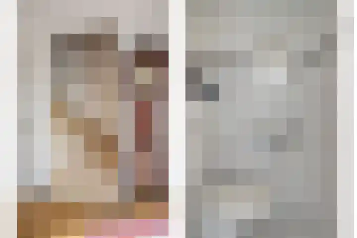 Vlaamse Gaai 3 Oostkapelle thumbnail 13