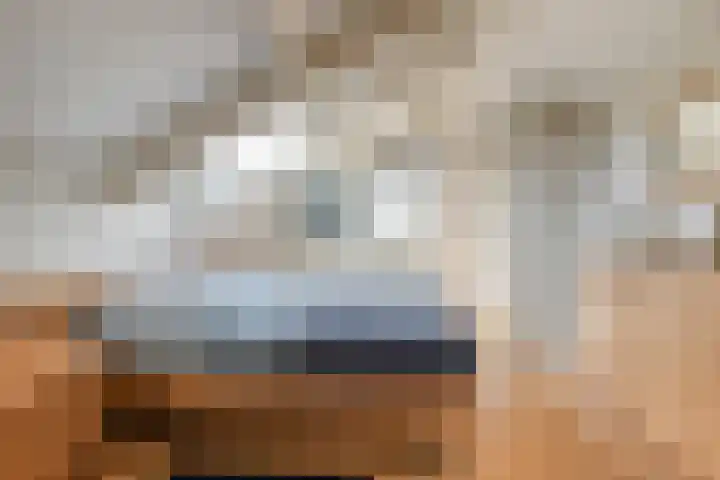 Vlaamse Gaai 3 Oostkapelle thumbnail 14