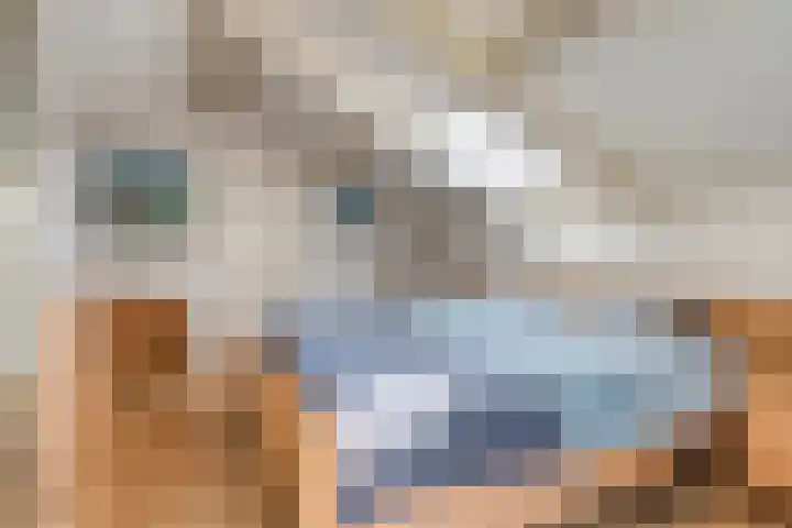 Vlaamse Gaai 3 Oostkapelle thumbnail 15