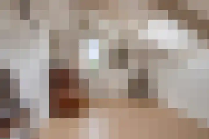 Vlaamse Gaai 3 Oostkapelle thumbnail 16