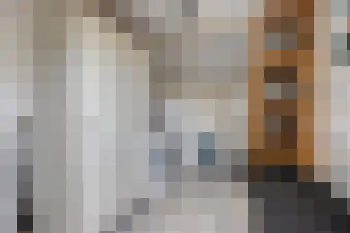 Vlaamse Gaai 3 Oostkapelle thumbnail 19