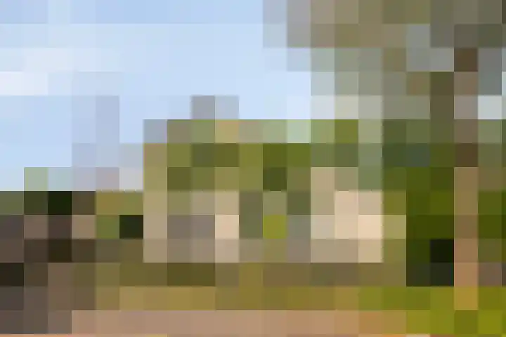 Vlaamse Gaai 3 Oostkapelle foto 2