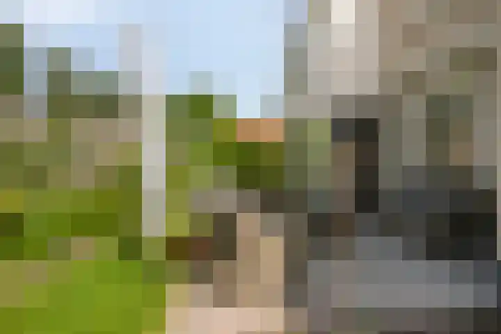 Vlaamse Gaai 3 Oostkapelle thumbnail 20