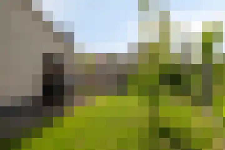 Vlaamse Gaai 3 Oostkapelle thumbnail 21