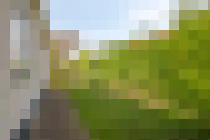 Vlaamse Gaai 3 Oostkapelle thumbnail 22