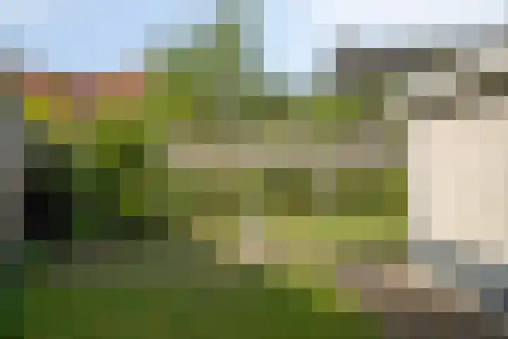 Vlaamse Gaai 3 Oostkapelle thumbnail 23