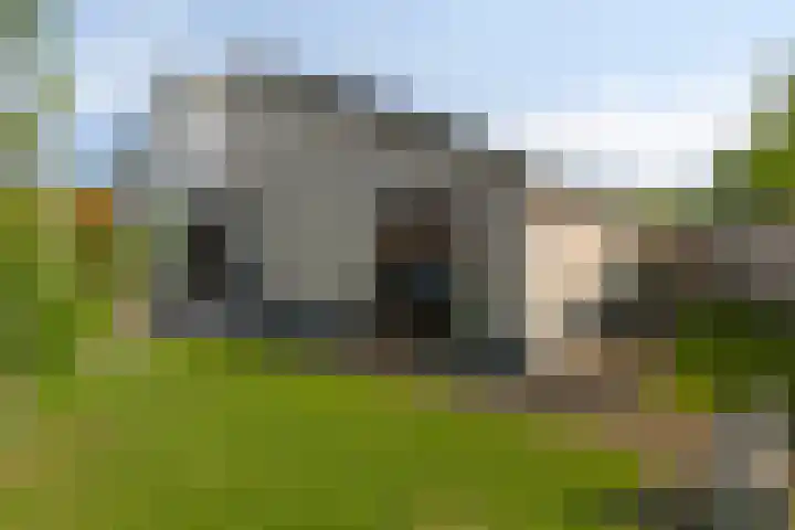 Vlaamse Gaai 3 Oostkapelle thumbnail 24
