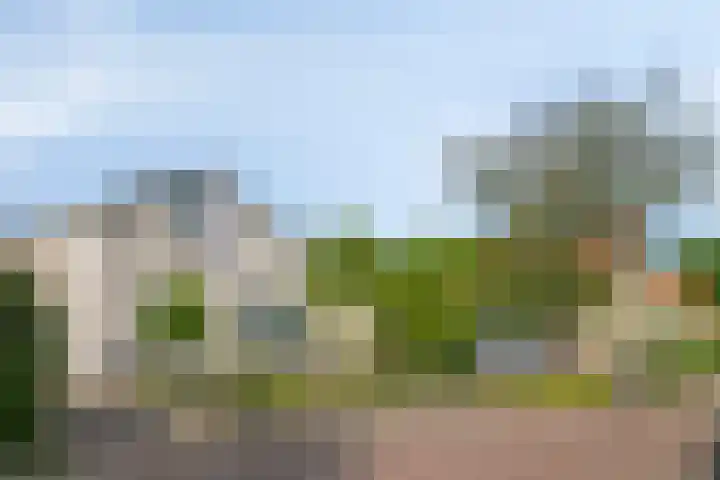 Vlaamse Gaai 3 Oostkapelle thumbnail 25