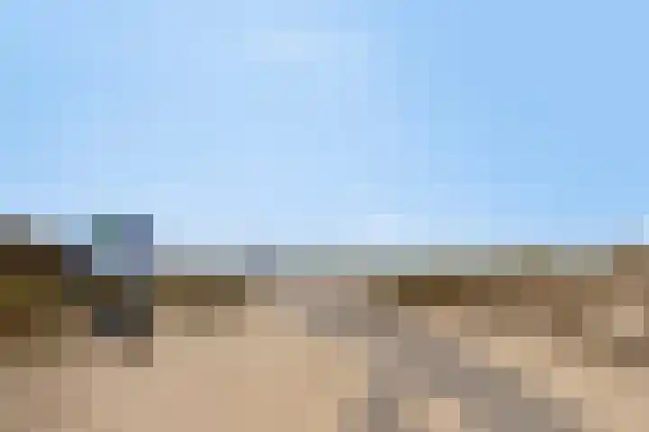 Vlaamse Gaai 3 Oostkapelle thumbnail 26