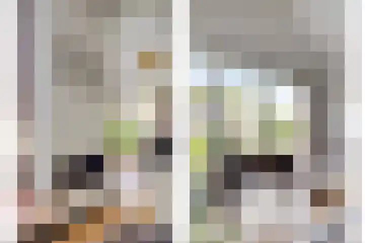 Vlaamse Gaai 3 Oostkapelle thumbnail 6