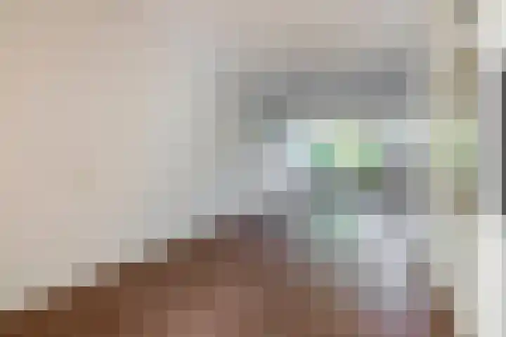 Vlaamse gaai 43 Deventer thumbnail 10